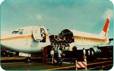 This is original content based on research by the history guy. 243 Aloha Airlines | Others
