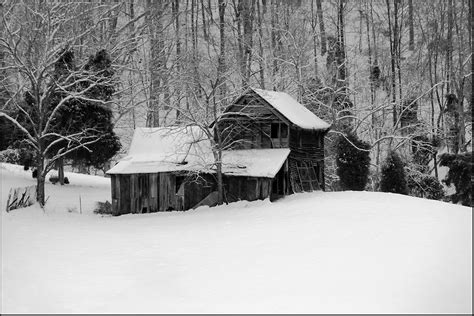 Winter Scenes In Black And White Artistic Pursuits