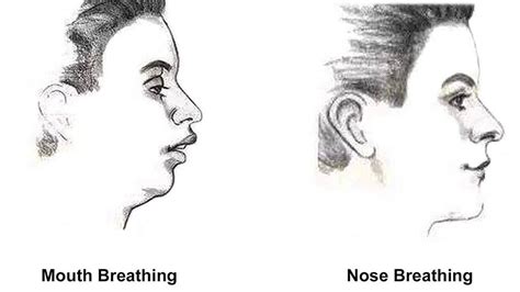 Mouth Breathing Vs Nose Breathing Effects On Face Teeth Jawline