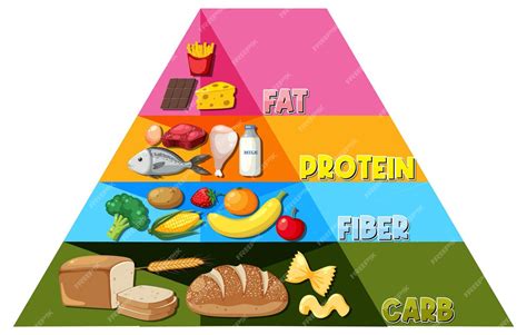 Infografía De La Pirámide Alimenticia De Dibujos Animados Una Guía