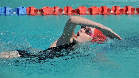 Mater Dei Primary School Swimming Carnival The Daily Advertiser