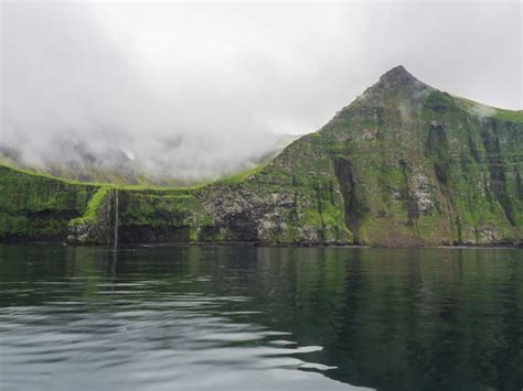 Hornstrandir Nature Reserve A Tour Guide Iceland Travel Guide