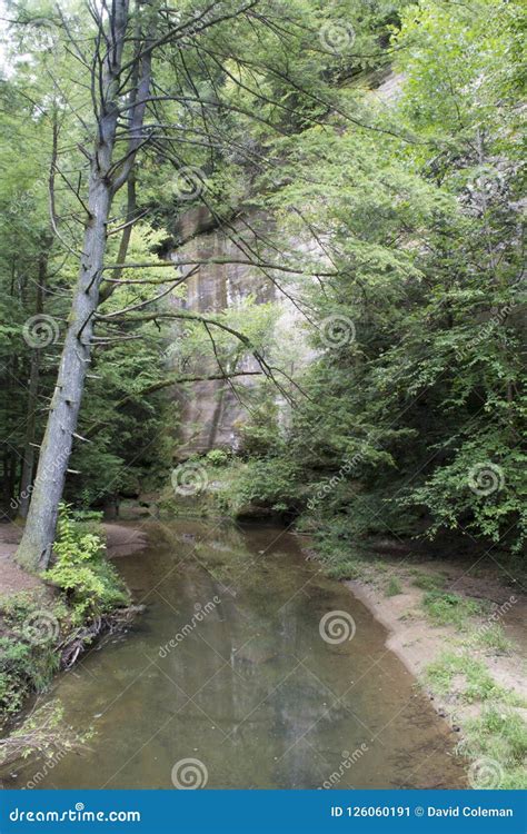 Small Stream Winding Through Gorge Stock Image Image Of Hills Area