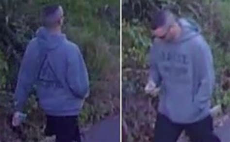 Cctv Suspect In Gracie University Hoodie Flashes Genitals At 2 Young Girls