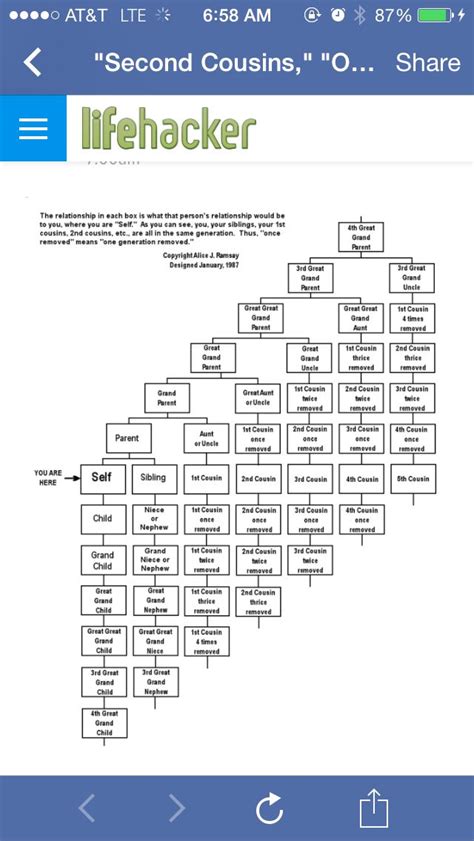 Second Cousins Once Removed And More Explained In Chart Form