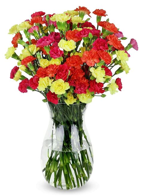 Benchmark Bouquets 20 Stem Bright Mini Carnations Next