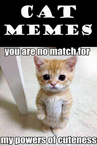 Cat Memes Funny Cat Memes And Jokes 3000 Funny Memes Feat Cats By