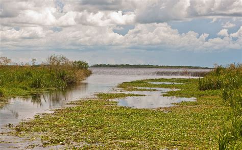 The 10 Largest Wetlands In The World