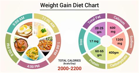 Not body shapes, but body types. Diet Chart For Weight Gain Patient, Weight Gain Diet chart ...