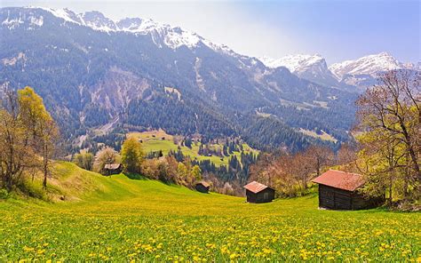 Hd Wallpaper Switzerland Fields Trees Mountains Slopes Village