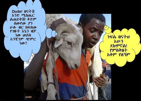 Ethiopian Funny Photoshop Pictures Funny Images To Photoshop Mew