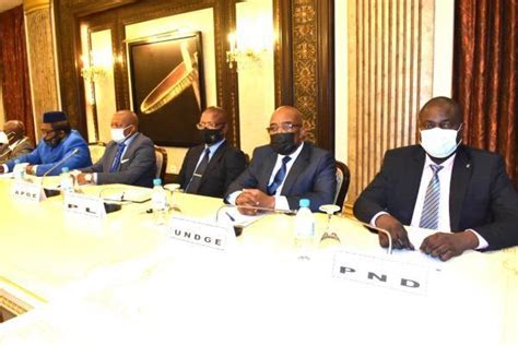 5 4 Reunión Partidos Políticos 13 Partido Democratico de Guinea