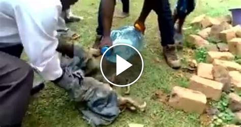 VIDEO Police Officers Rescue Newborn Baby From Pit Latrine Matooke Republic