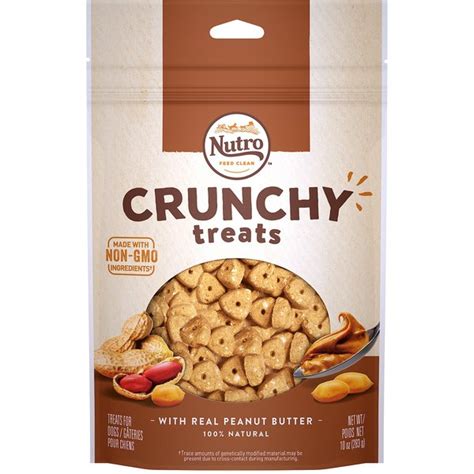 Nutro Crunchy With Real Mixed Berries Dog Treats 10 Oz Bag