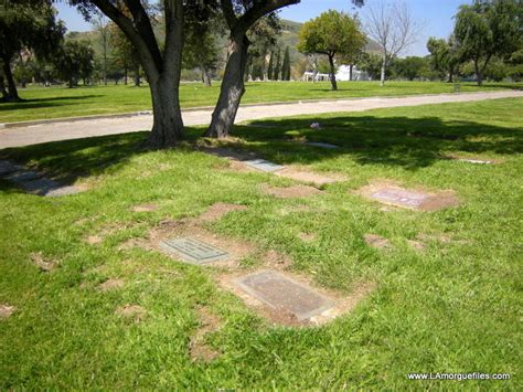 Los Angeles Morgue Files The Searchers Actor Jeffrey Hunter Glen Haven Cemetery