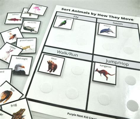 Sort Animals By How They Move Worksheet Animals Animal Etsy