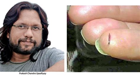 Indian Artist Creates World S Smallest Pencil Daily News