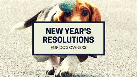 New Years Resolutions For Dog Owners Pet Peeps Best In Home