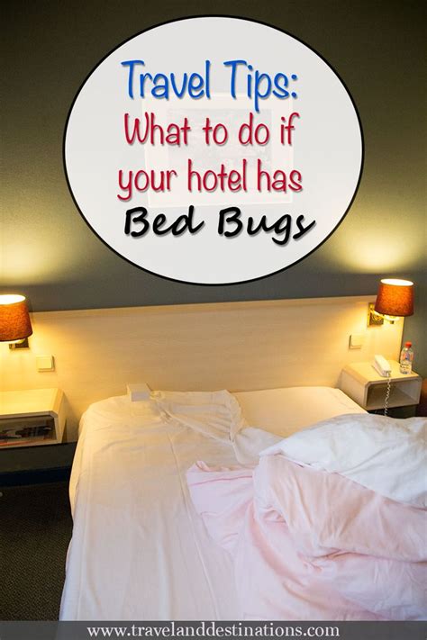 Travel Tips What To Do If Your Hotel Has Bed Bugs Travel Tips Avoid