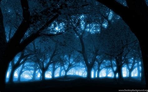 Black Blue Blue Forest Nature Forests Hd Desktop Wallpapers Desktop