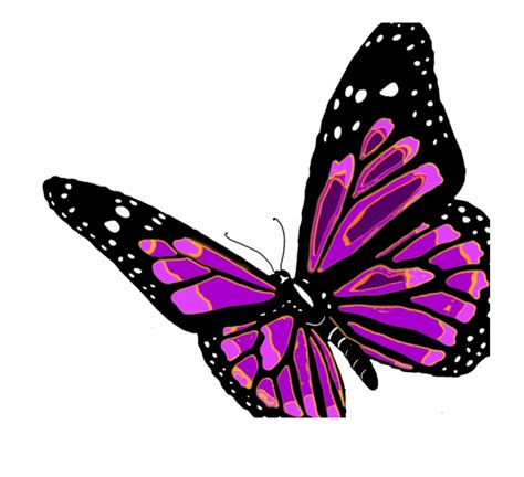 Free Butterflies Flying Png Download Free Butterflies Flying Png Png