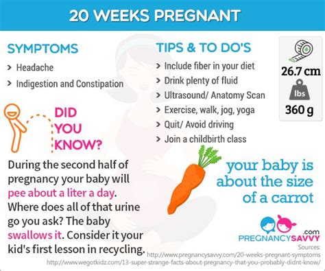 20 Weeks Pregnant 20 Weeks Babies And Tips