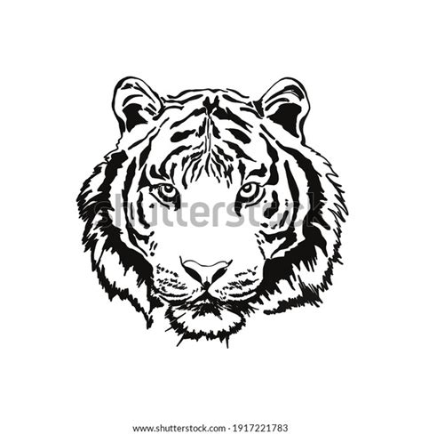 Imagen Imagen Dibujos De Tigres Blancos Thptletrongtan Edu Vn