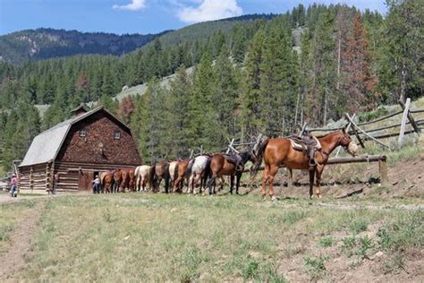 Picture Of Horses Ready To Go On Montana Ranch Planetware Montana