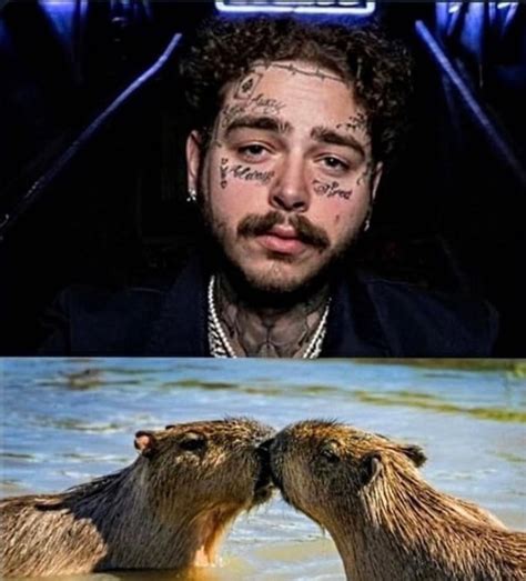 Post Malone S Mustache Looks Like Two Capybaras Kissing 9GAG