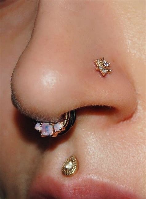 Septum Piercing And Medusa Piercing Medusa Piercing Jewelry Body