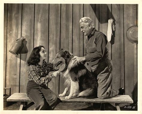 Courage Of Lassie 1946