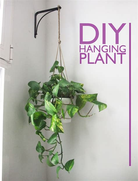 I Came To Dance Diy Hanging Plant Holder