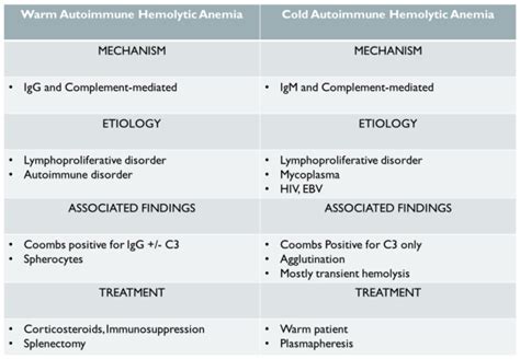 Warm Vs Cold Autoimmune Hemolytic Anemia Warm Autoimmune Grepmed
