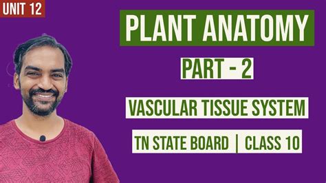 Tn Class 10 Unit 12 Plant Anatomy Part 2 Vascular Tissue System