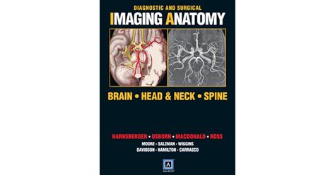 Diagnostic And Surgical Imaging Anatomy Brain Head And Neck Spine By