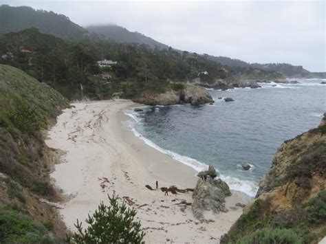 Point Lobos Snr Gibson Beach In Carmel Ca California Beaches