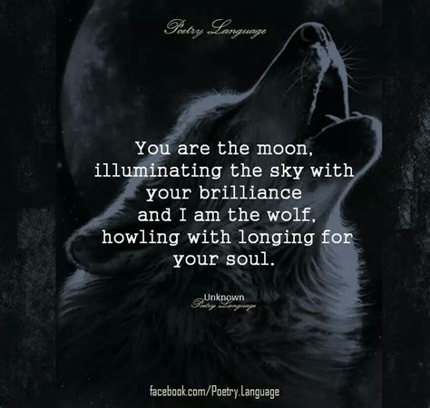 Pin By Gina Babe On ♡my♡love♡4 Poetry Wolf Quotes Lone Wolf Quotes