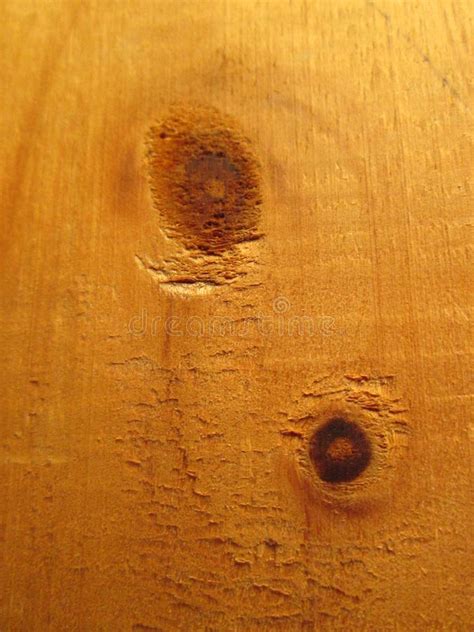 Wood Stock Image Image Of Grain Floor Carpentry Exterior 84891079