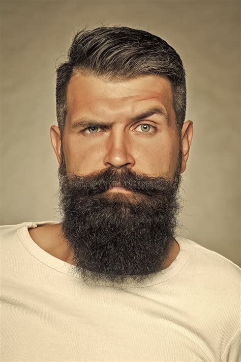 Bearded Man In Studio Stock Image Image Of Male Handsome 121032071