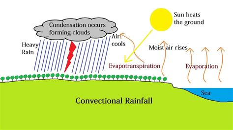 Cyclonic Precipitation Diagram