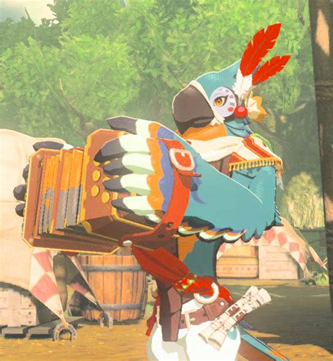 Kass The Botw Art Reference Collective