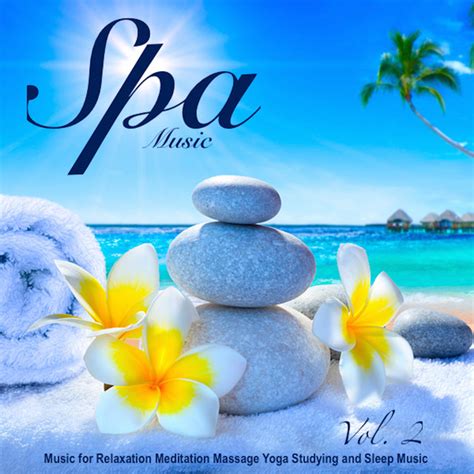 Spa Music Music For Relaxation Meditation Massage Yoga Studying And Sleep Music Vol