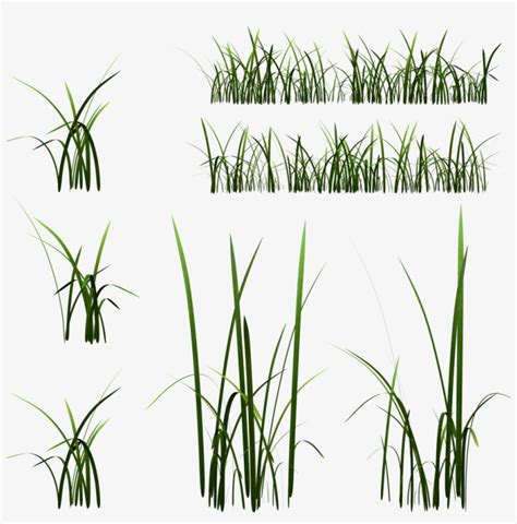 2d Grass Blade Texture High Grass Texture Transparent Png Image
