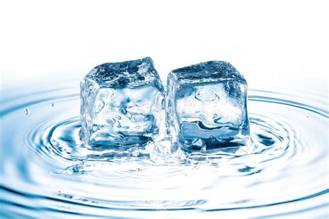 Ice Cubes In Water Stock Photo Image Of Glass Object 33662260