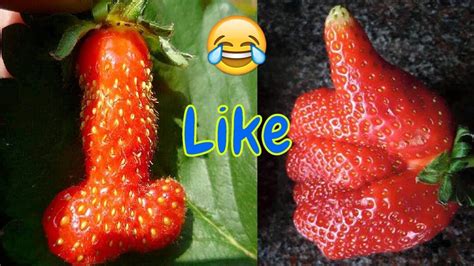Unusually Shaped Fruits And Vegetables That Look Like Something Else