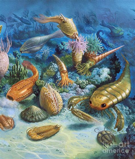Underwater Life During The Paleozoic By Publiphoto Dinosaur Art