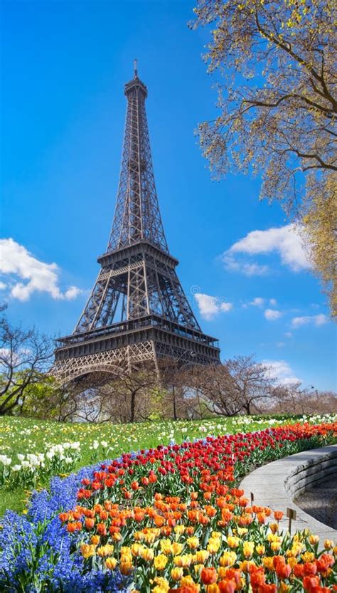 Torre Eiffel Con Los Tulipanes Rojos En París Francia Imagen De