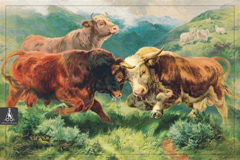 Vintage Bulls Fighting Illustration Photoshop Graphics ~ Creative Market