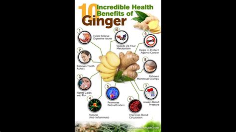 10th Health Benefits Of Ginger Youtube
