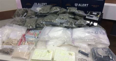 Busted Grow Ops Gangs And Drug Labs Alerts Largest Drug Seizures